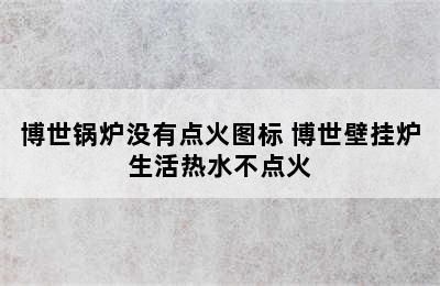 博世锅炉没有点火图标 博世壁挂炉生活热水不点火